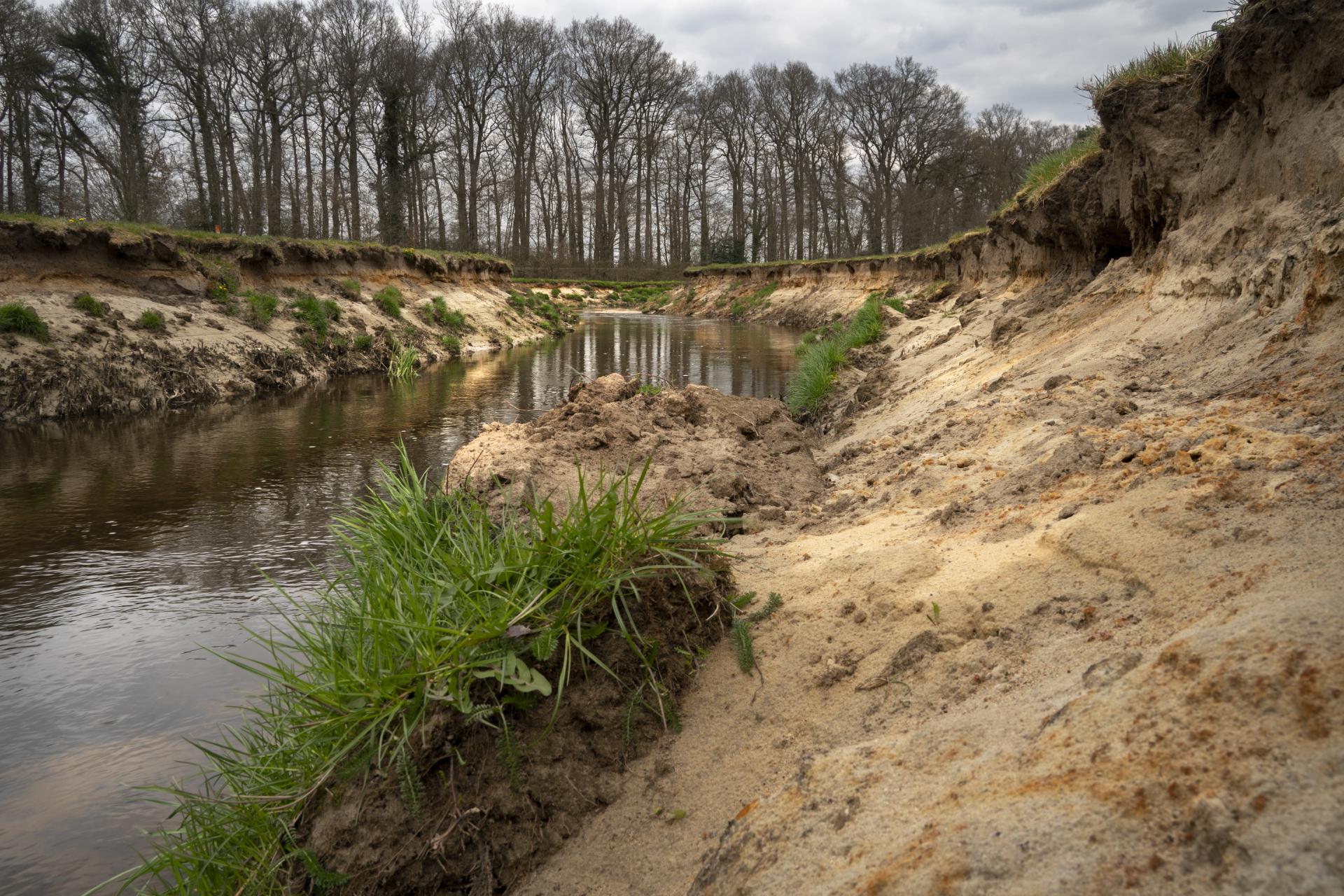 De herstelde oevers van de Buurserbeek.