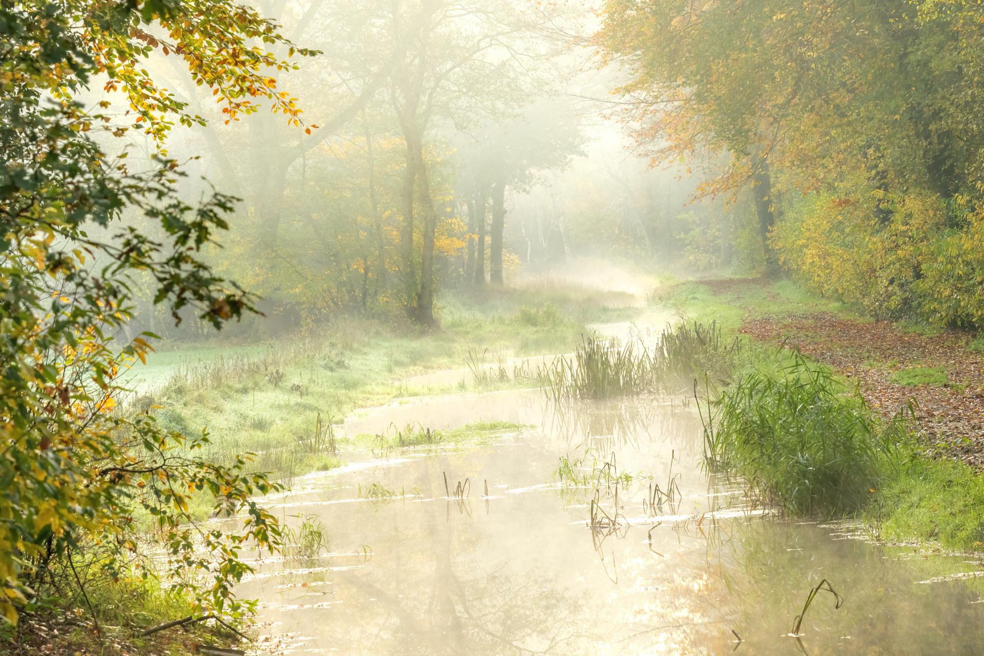 De zon schijnt door de mist op de buurserbeek