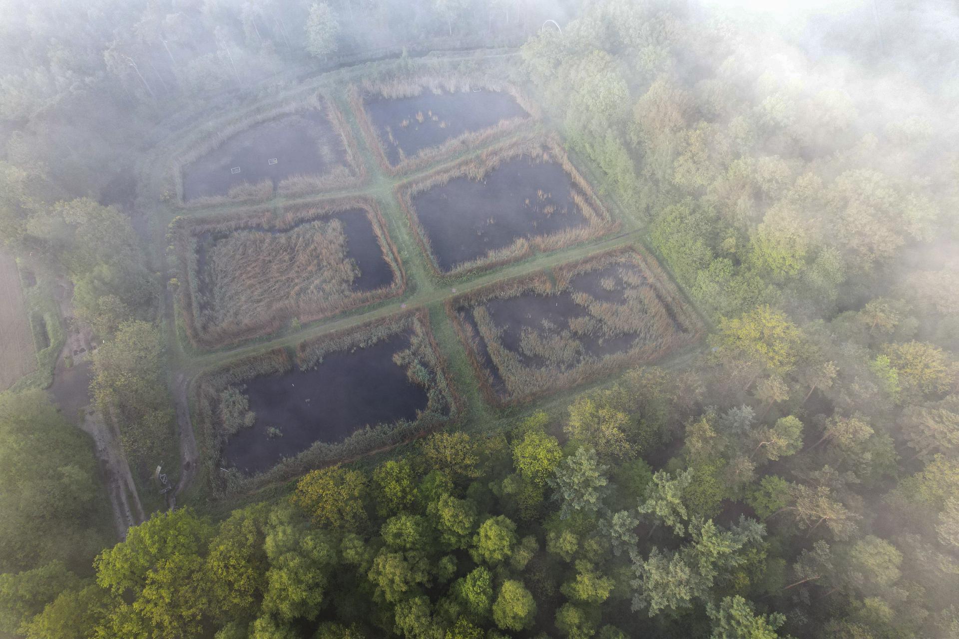 Dronefoto van de rietfilters.
